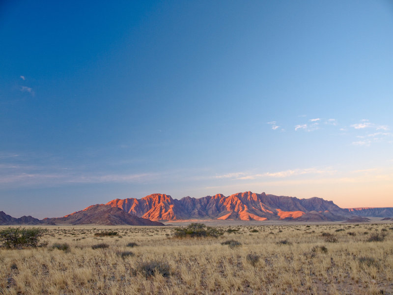 Desert Camp